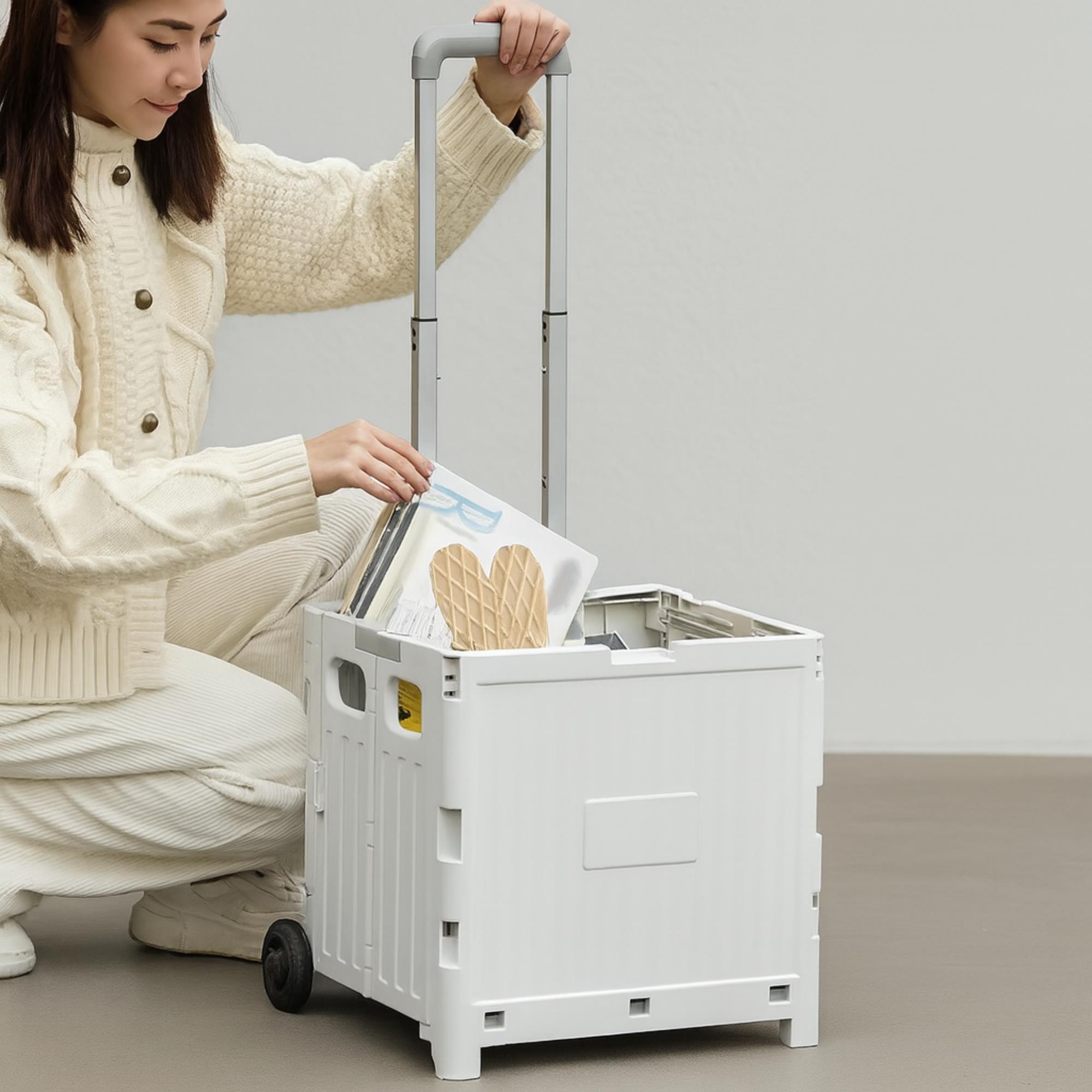 Carrito de almacenaje Plegable 38 × 34 × 85,5 cm cm con 2 ruedas color Gris-32L