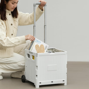 Carrito de almacenaje Plegable 38 × 34 × 85,5 cm cm con 2 ruedas color Gris-32L
