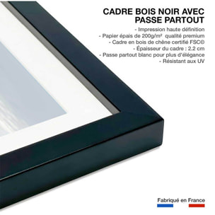 Affiche ours blanc sur la banquise Affiche sous cadre noir