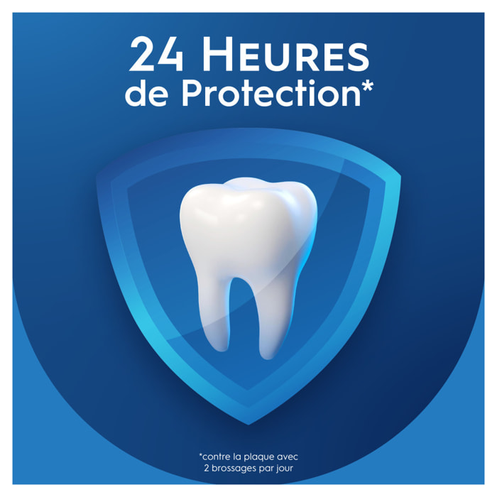 Lot de 4 dentifrices PRO EXPERT - Protection Pro Menthe Extra Fraîche - 75ML