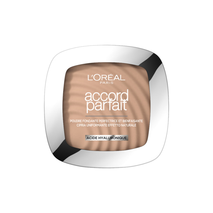 L'Oréal Paris Poudre Matifiante Accord Parfait 4N Beige