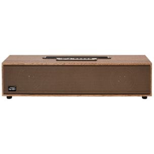 Enceinte Effet Bois 2x 5w M4