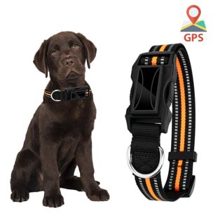 Localizador GPS especial para perros y mascotas. BDS+LBS+AGPS. Collar de 40 a 64cm de diámetro, reflectante.