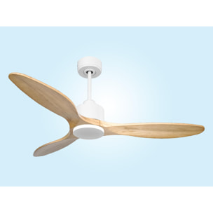 Ventilador de techo Reversible Termostato Wifi Motor DC Techos Inclinados Mando a Distancia Hypersilence Memoria SalamisD132C0364879 PURLINE