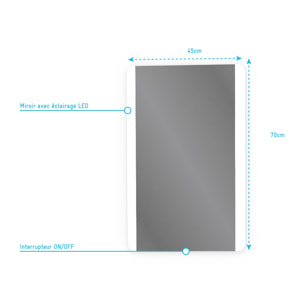 Miroir salle de bain LED auto-éclairant BORDER LINES 70x45