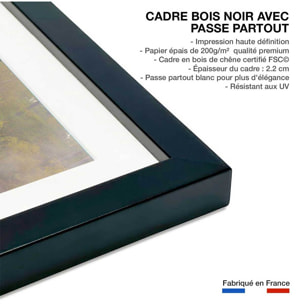 Affiche paysage oies sauvages Affiche + cadre en bois - Noir