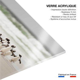 Tableau animaux pingouins Tableau plexiglas