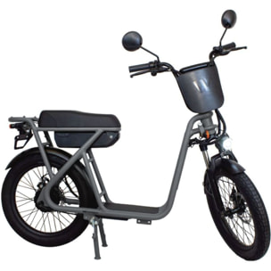 Draisienne électrique WISPEED WIMOB Plus Gris - Homologué