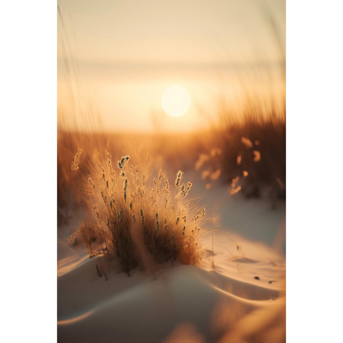 Tableau mer et plage coucher de soleil à la plage  Tableau plexiglas