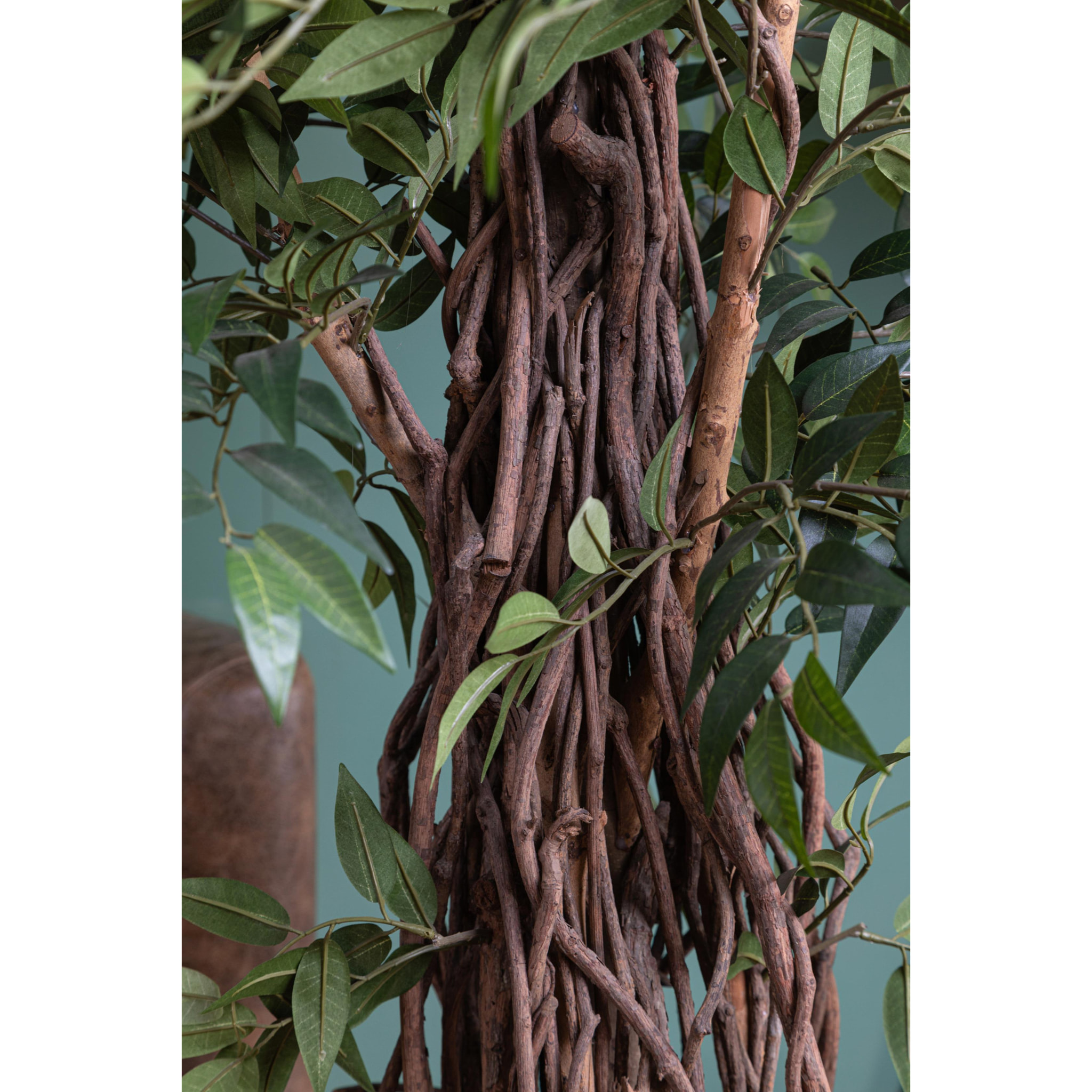 Ficus Weeping Con 2821 Foglie. Altezza 152 Cm - Pezzi 1 - 80X180X80cm - Colore: Verde - Bianchi Dino - Piante Artificiali