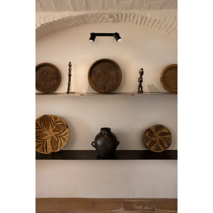 STAN 2L Lampe applique/plafond noir