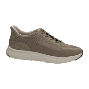 Sneakers Uomo Tata Italia Beige