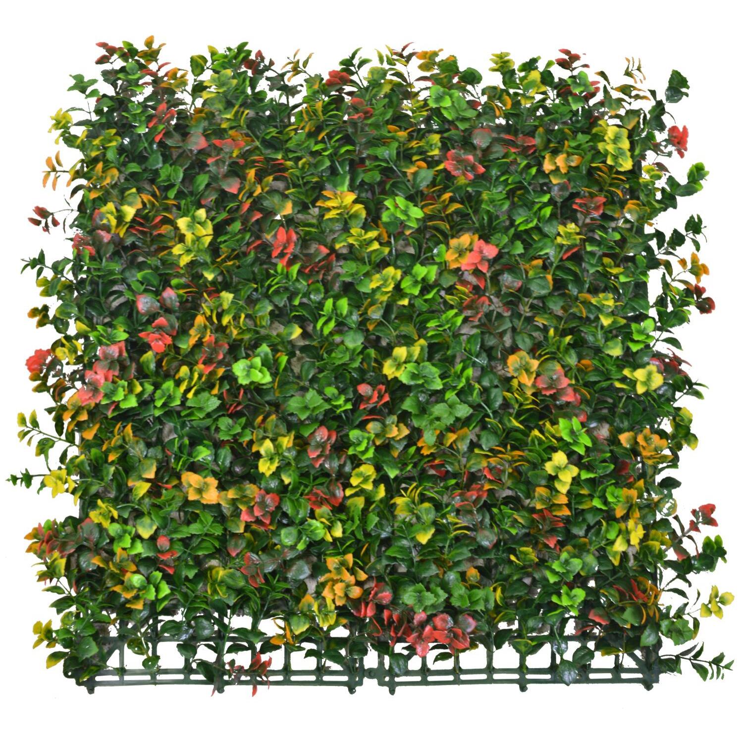 Parete verde verticale Vacchetti multicolore cm50x50