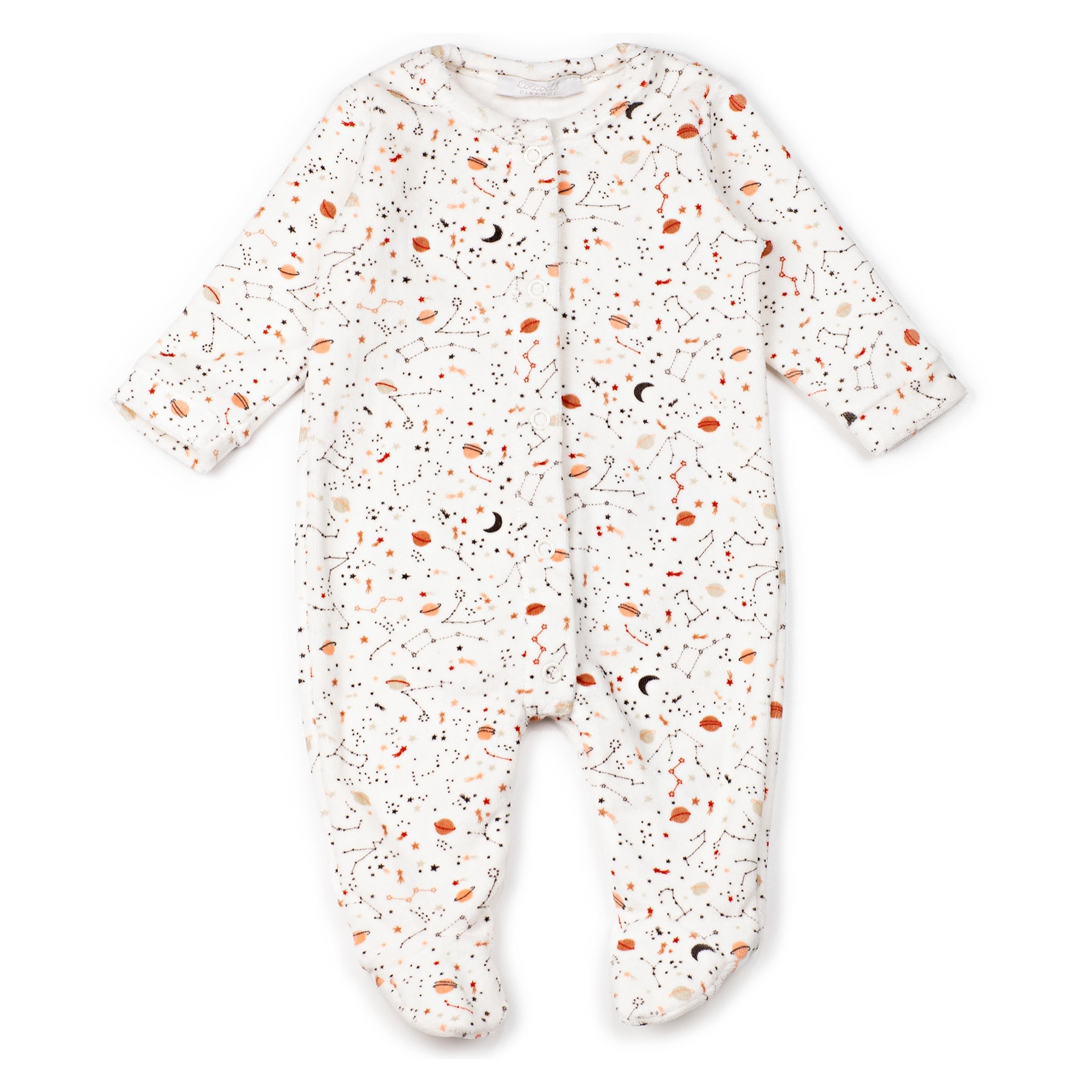 Tutina in Ciniglia Devoré