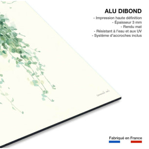 Tableau fleurs Plante tropicale Ceropegia illustrée Tableau alu Dibond