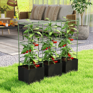 Cages à tomates tuteurs modulables - lot de 3 - non tissé noir acier thermolaqué vert