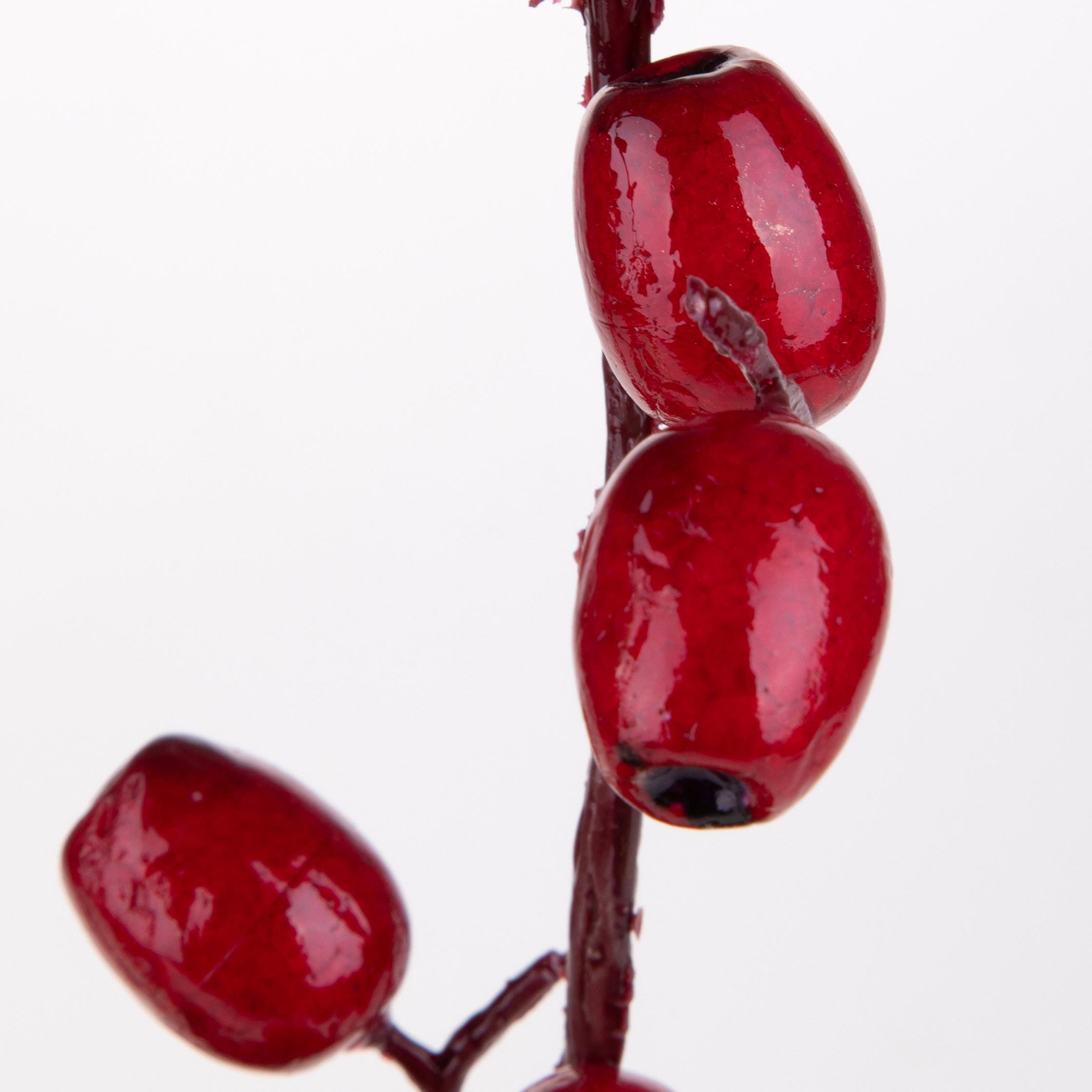 Ramo - Pezzi 12 - 21xH89x20cm - Bianchi Dino SpA