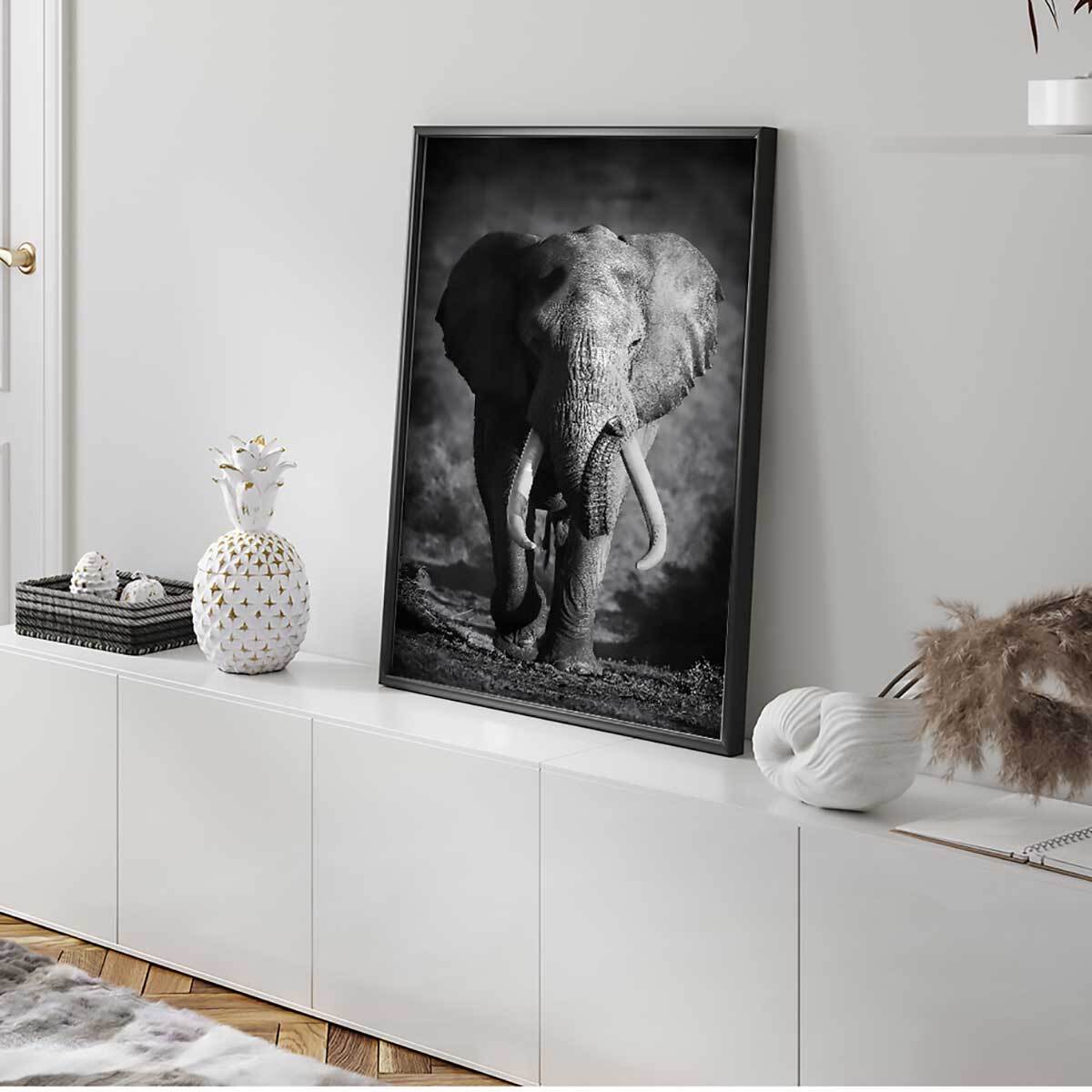 Affiche encadrée éléphant sauvage en noir et blanc Affiche + cadre en métal - Noir