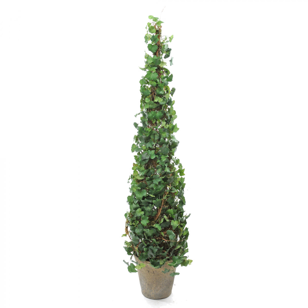 Edera Cono. Altezza 138 Cm - Pezzi 1 - 30X138X30cm - Colore: Verde - Bianchi Dino - Piante Artificiali