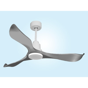 Ventilador de techo Modo Invierno/Verano Termostato Wifi Motor DC Techos Inclinados Mando a Distancia Memoria Vendible Shopify (AUTOMATICO) TrawanganD132C0466664 PURLINE