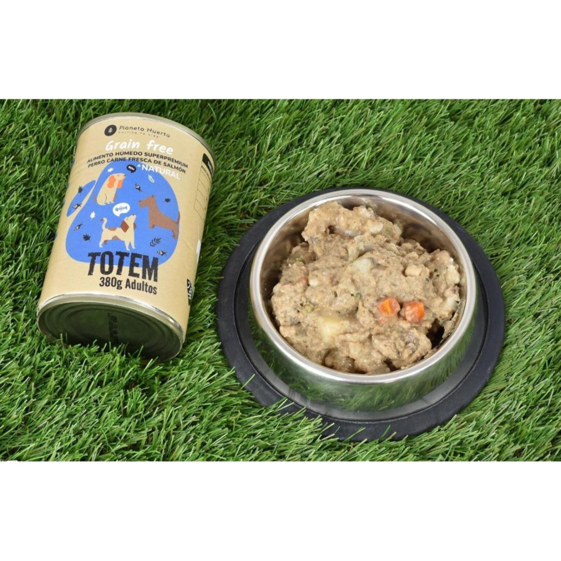 PLANETA HUERTO | Comida Húmeda Grain Free para Perro Salmón 380g – Superpremium Sin Cereales – Con Salmón y Arenques Frescos