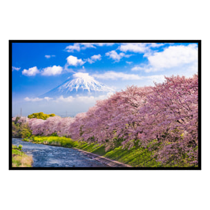 Affiche encadrée mont Fuji et cerisiers en fleurs Affiche + cadre en métal - Noir