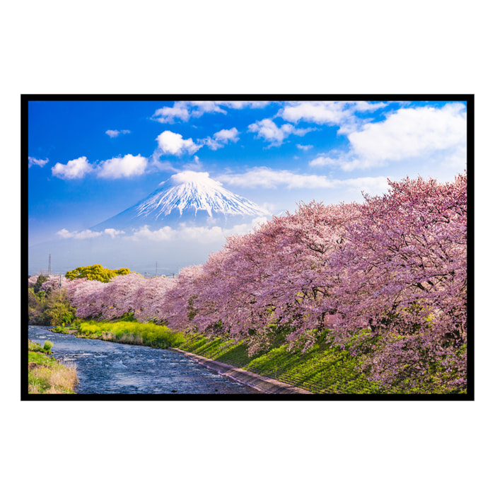 Affiche encadrée mont Fuji et cerisiers en fleurs Affiche + cadre en métal - Noir
