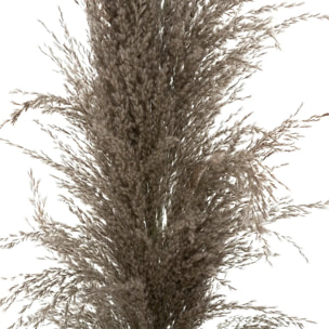 3 fleurs séchées "Pampa brune" H110cm