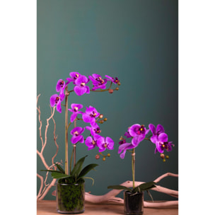 Pianta Di Phalaenopsis Con Vaso. Altezza 56 Cm - Pezzi 1 - 30X56X30cm - Colore: Rosa - Bianchi Dino - Piante Artificiali
