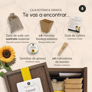 Kit de Cultivo de Girasol en Caja de Madera – Regalo Original Planeta Huerto