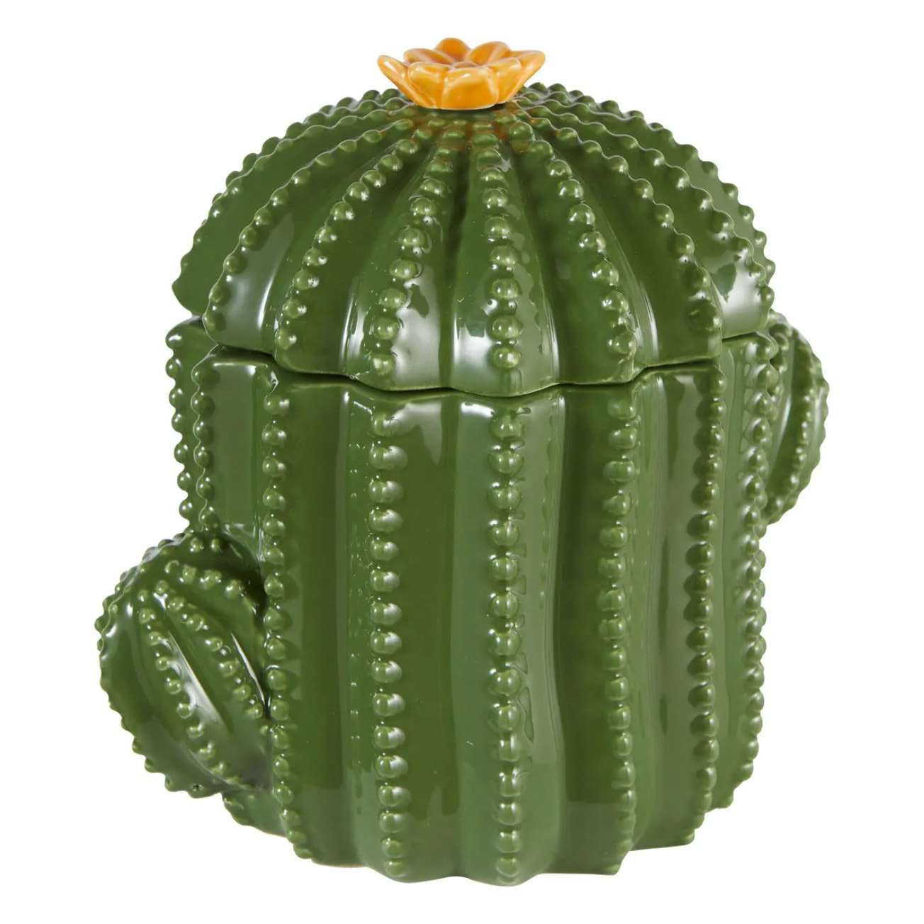 Boîte déco "Yuca" céramique vert 16xH15,5x11cm