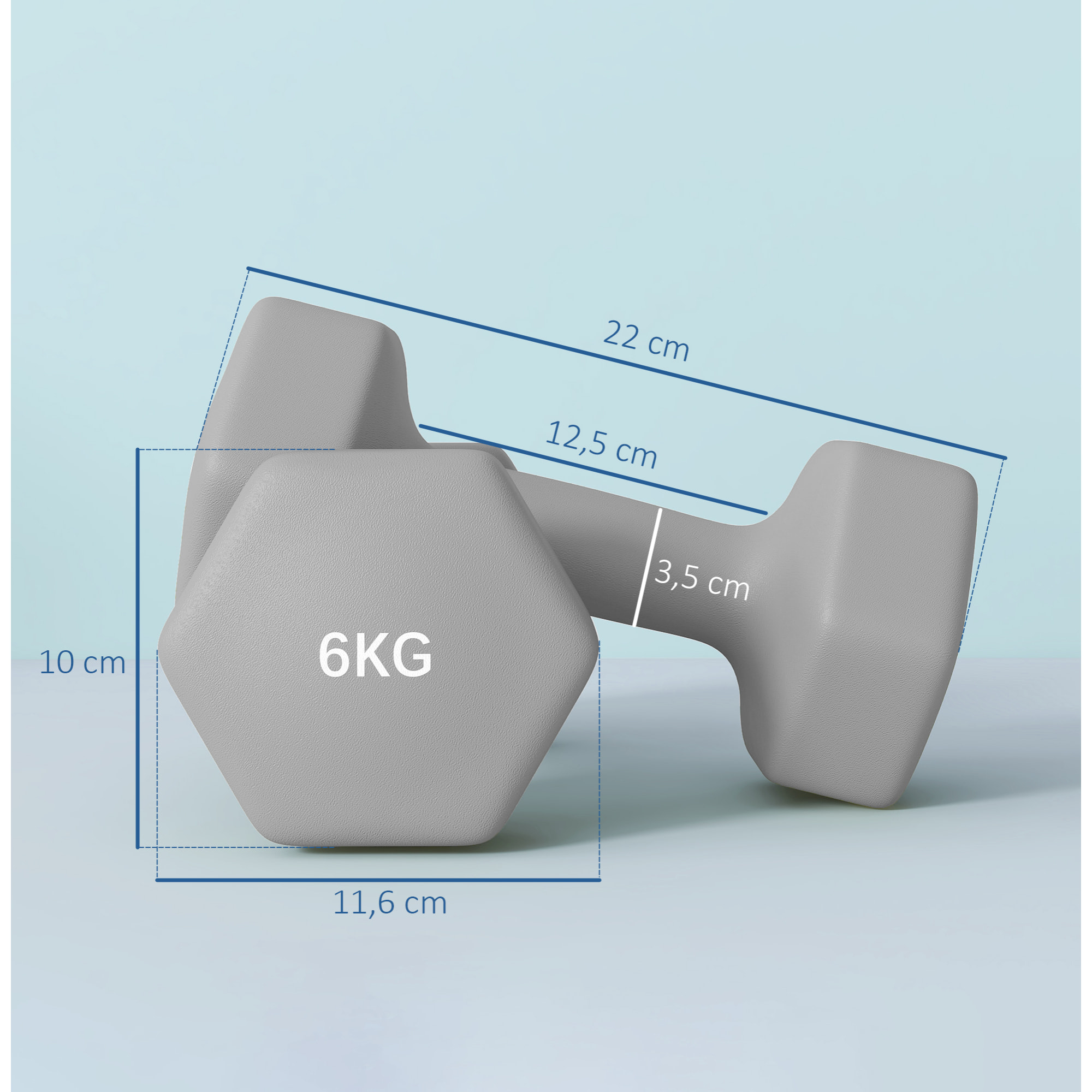 Juego de Mancuernas Hexagonales, 2 x 6 kg, Recubiertas en Plástico, Juego de Pesas de Metal con Mangos Antideslizantes para Entrenamiento en Casa, Gimnasio y Oficina, Gris