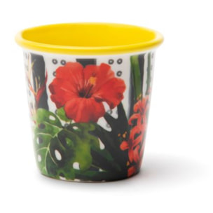 Set 6 Bicchierini Caffè Excelsa – Tropical Chic, New Bone China Multicolore