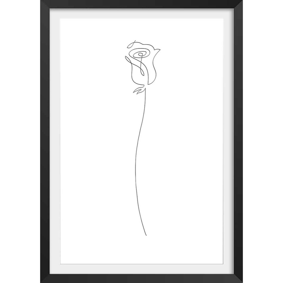 Affiche Bouton de rose Croquis Affiche + cadre en bois - Noir