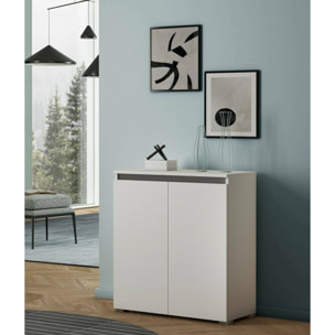 Scarpiera Astrina, Mobile multiuso, Porta scarpe salvaspazio a 2 ante, Armadio portaoggetti con scaffali, 100% Made in Italy, 80x37h102 cm, Bianco