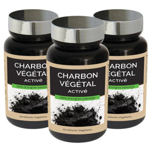 NUTRIEXPERT - Charbon végétal activé – Aide à détoxifier et assainir l'organisme - Apaise les sensations de ballonnements et flatulences - Vegan - Extraits de plantes - Lot de 3 produits