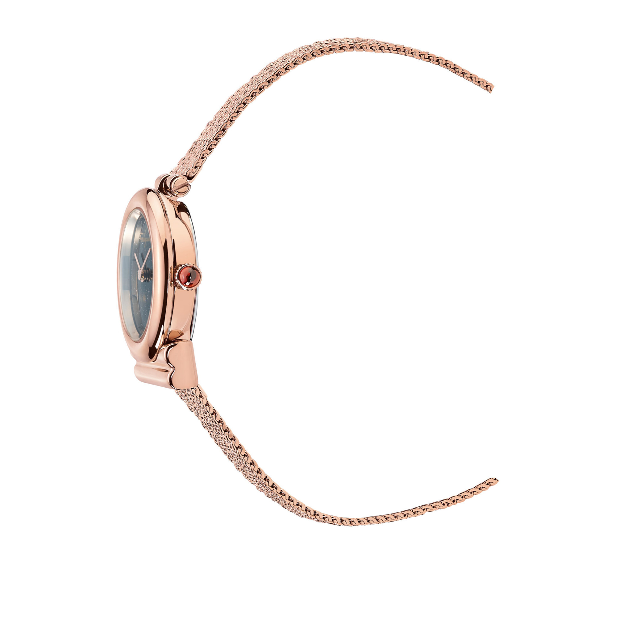 Ferragamo Orologio Analogico Al Quarzo Gancini Stone