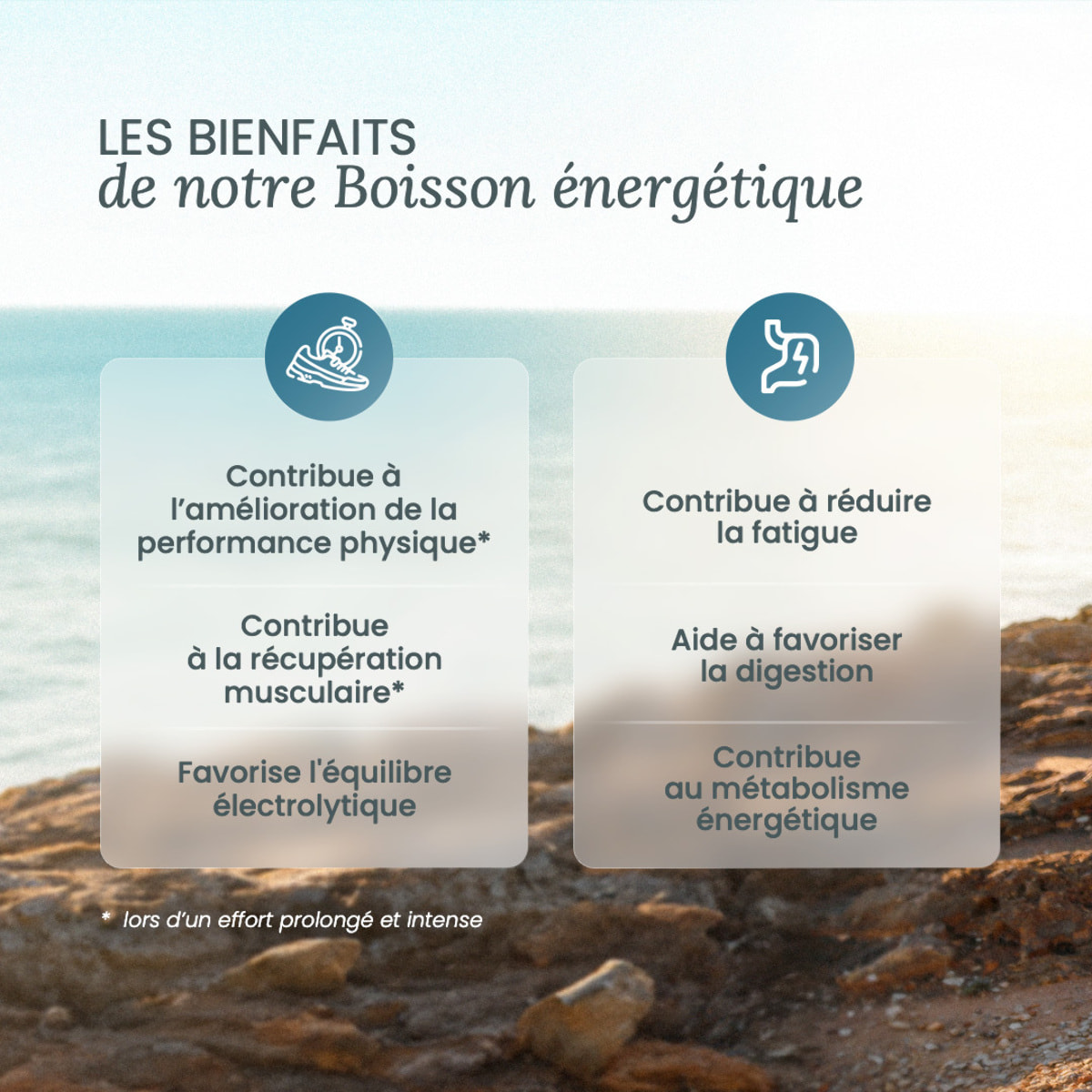 NUTRI & CO Boisson Énergétique Isotonique en Poudre – Running, Vélo, Hyrox – 490g goût pêche