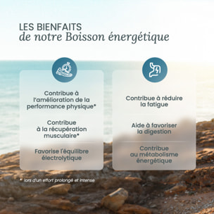 NUTRI & CO Boisson Énergétique Isotonique en Poudre – Running, Vélo, Hyrox – 490g goût pêche