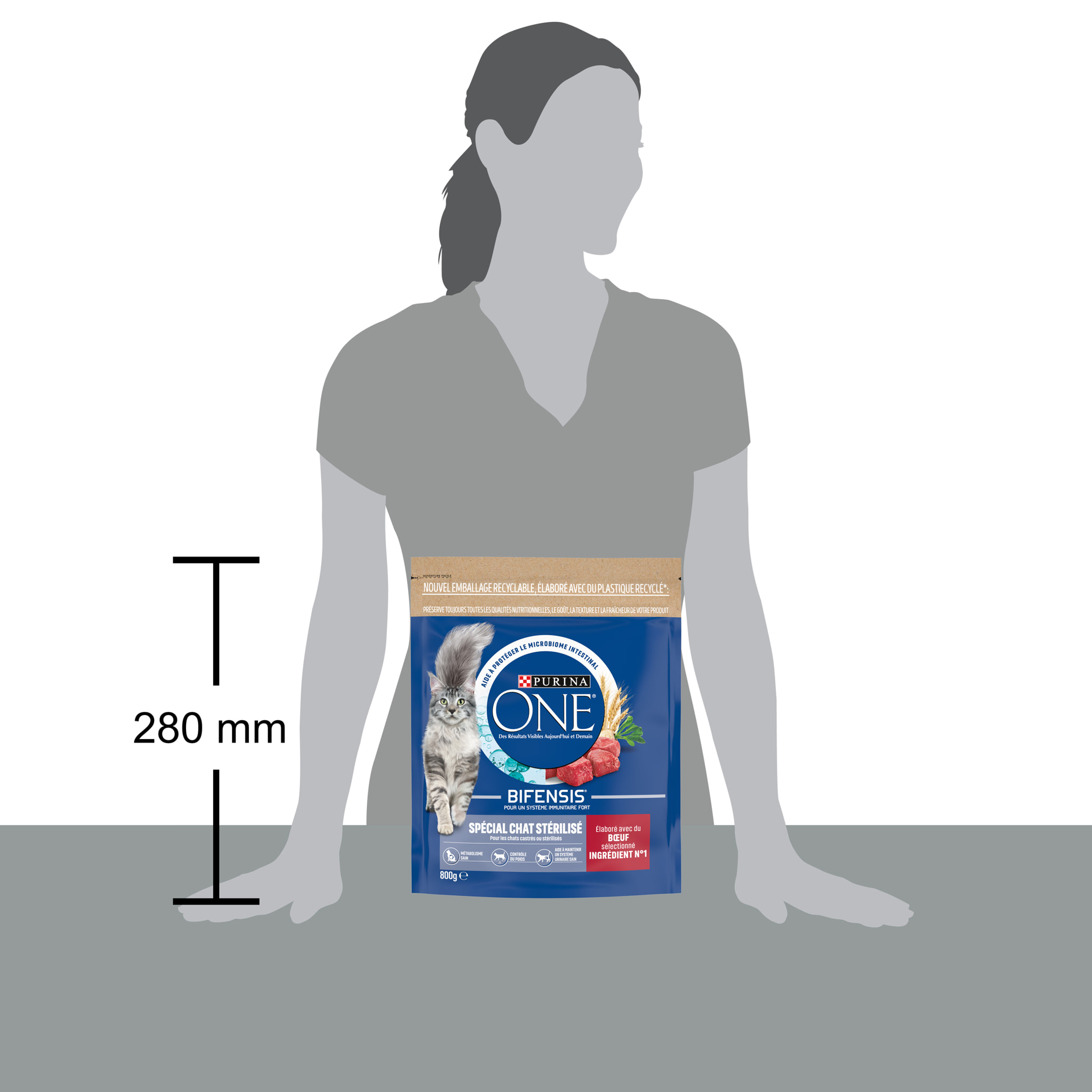 PURINA ONE CHAT Stérilisé Bœuf 800g - Lot de 4