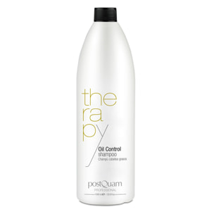champu antigrasa 1000 ml