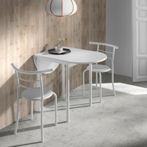 Conjunto – Mesa y 2 sillas