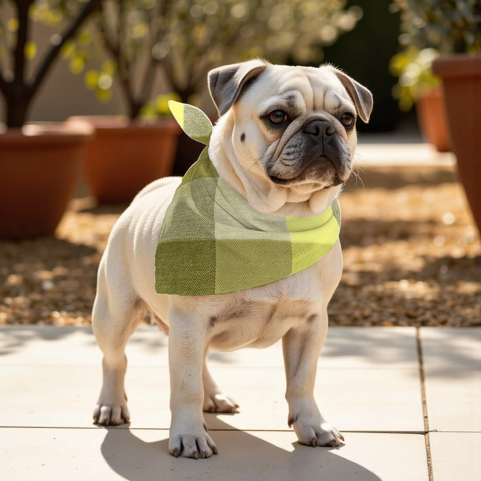 Pack de 2 bandanas pour animaux Bath Vert