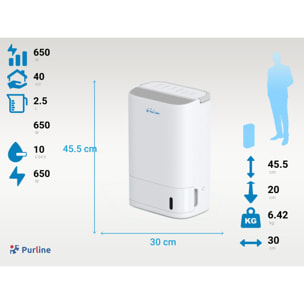 Déshumidificateur super silencieux de 650W pour des grandes surfaces