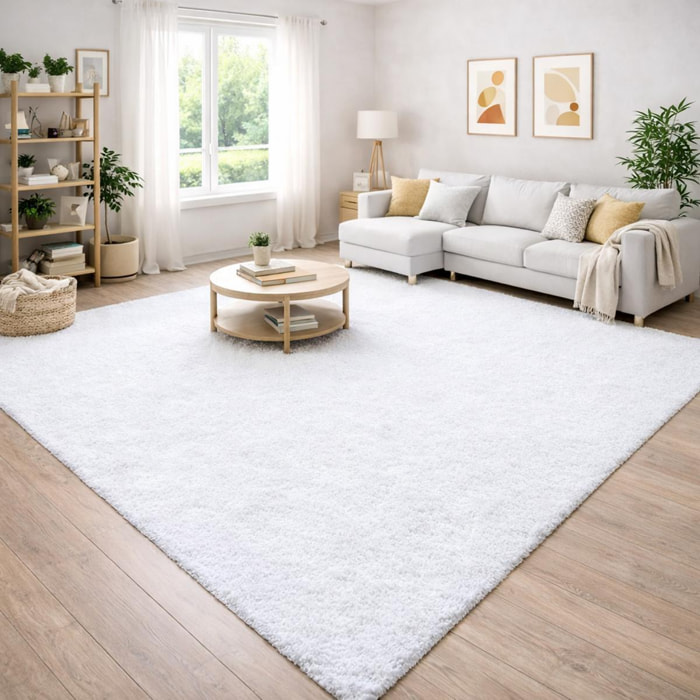 Tapis poils longs shaggy tissé motif uni RIBI