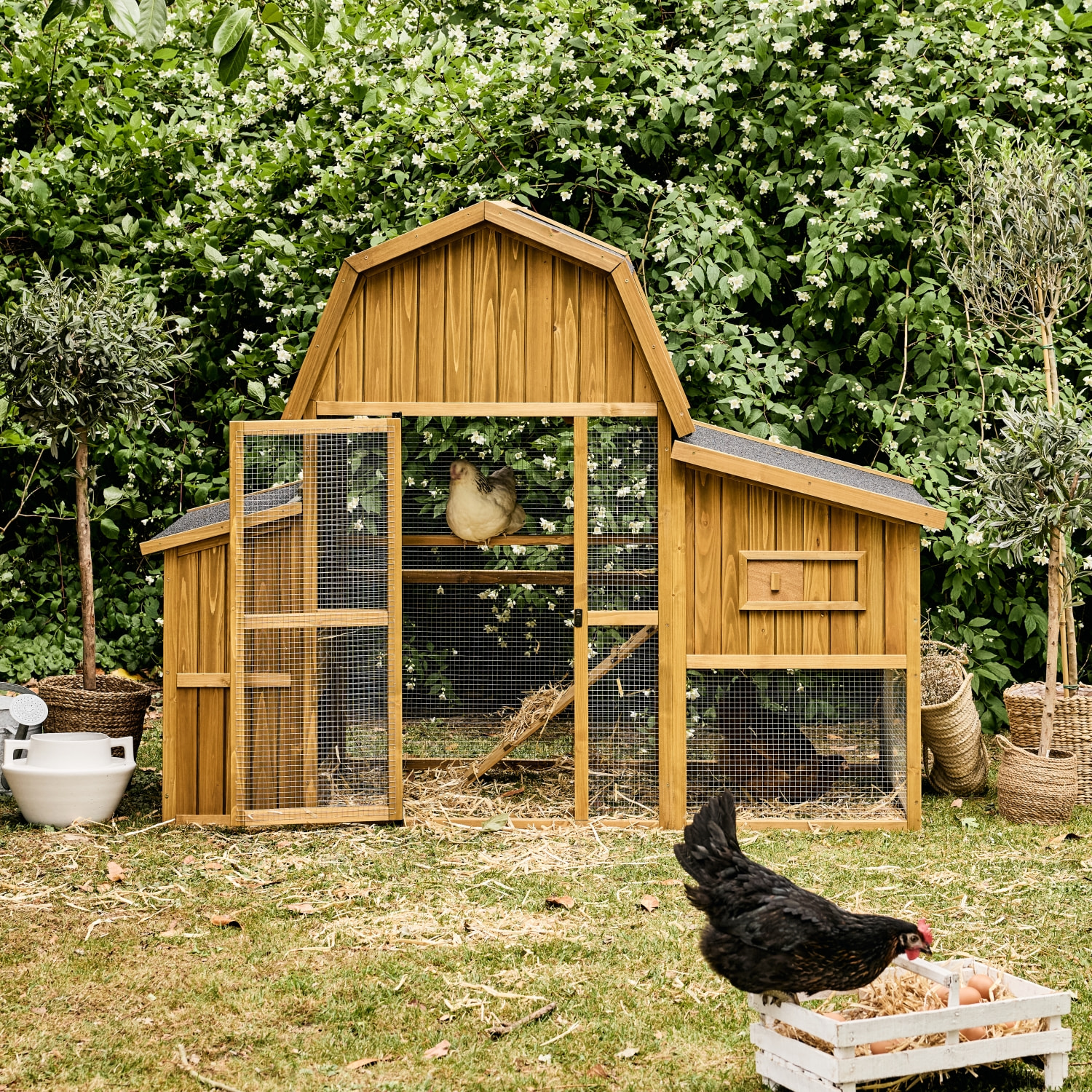 Poulailler 6 poules bois de sapin - 195.5 x 90 x 152.5 cm - Gasconne