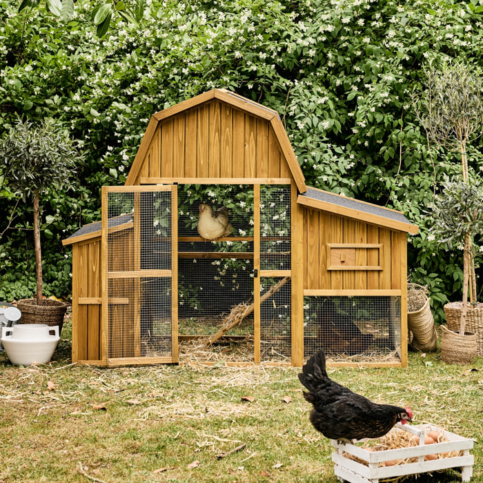 Poulailler 6 poules bois de sapin - 195.5 x 90 x 152.5 cm - Gasconne