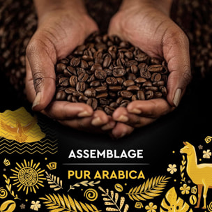 Café Grains Pérou Bio 500g