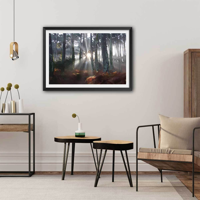 Affiche paysage brume landaise Affiche seule