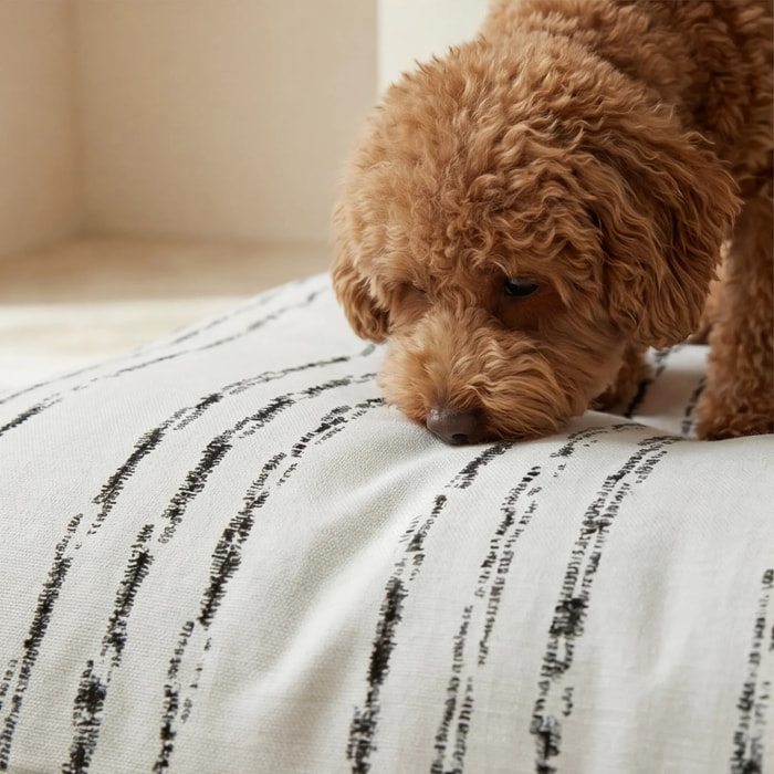 Lit pour animaux déhoussable et antitaches Rufus